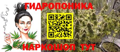 мяу мяу мука Аргун