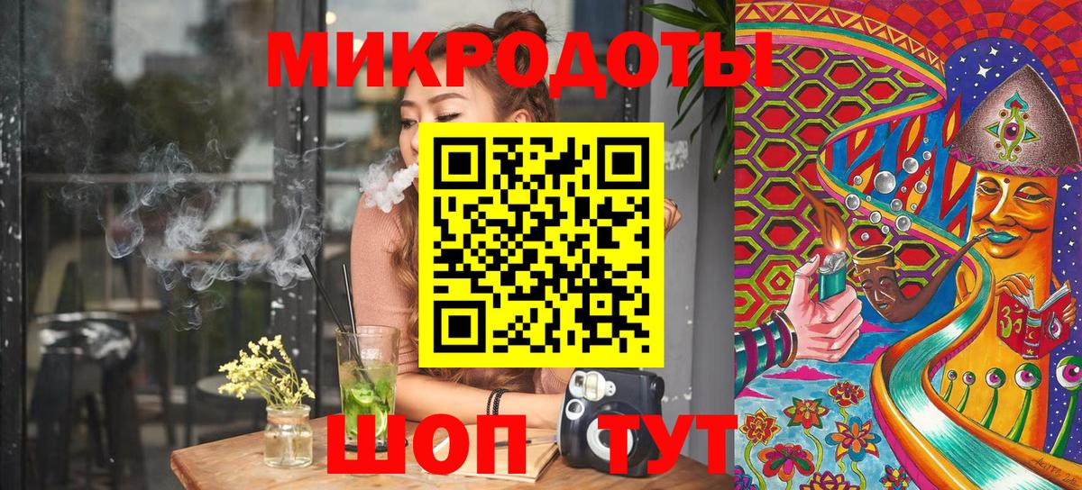 Псилоцибиновые грибы Psilocybine cubensis Барнаул