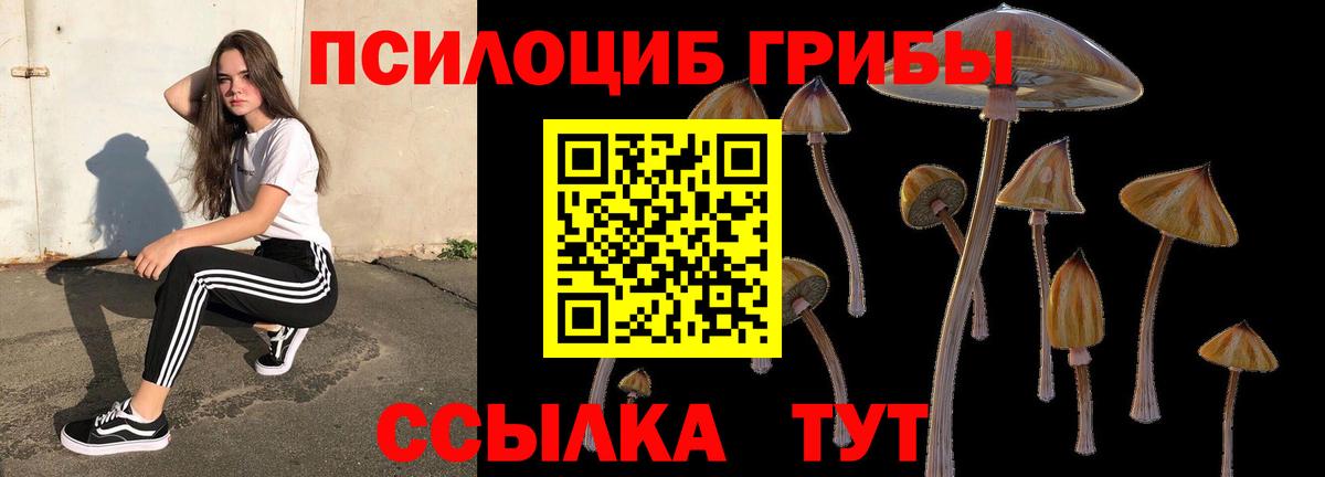 Псилоцибиновые грибы GOLDEN TEACHER  Вход с VPN  Барнаул 